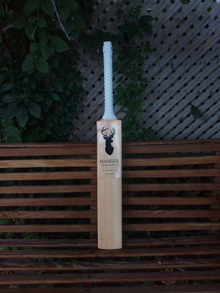 Choosing the Perfect Cricket Bat from Kashmir: A Guide by Kashmirica