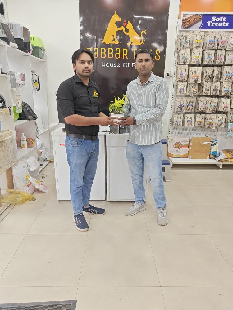 Humanaro  Foundation conducted an awareness campaign by distributing saplings on World Environmental Day