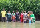 Mangrove Ecosystems: Nature's Living Shield Against Climate Change and Coastal Disasters